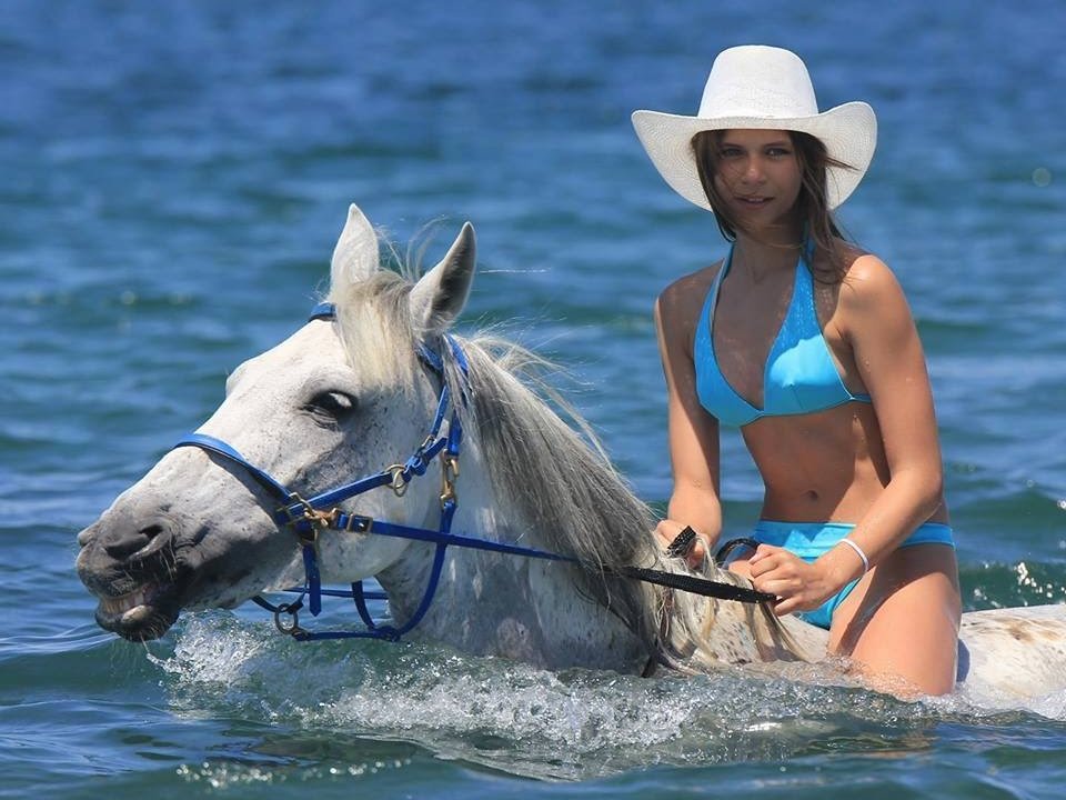 Horse Country Resort Congress & Spa